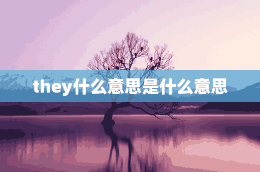 they什么意思是什么意思